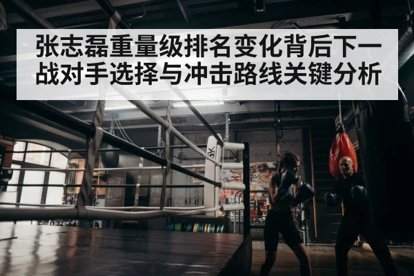 boxer training gym